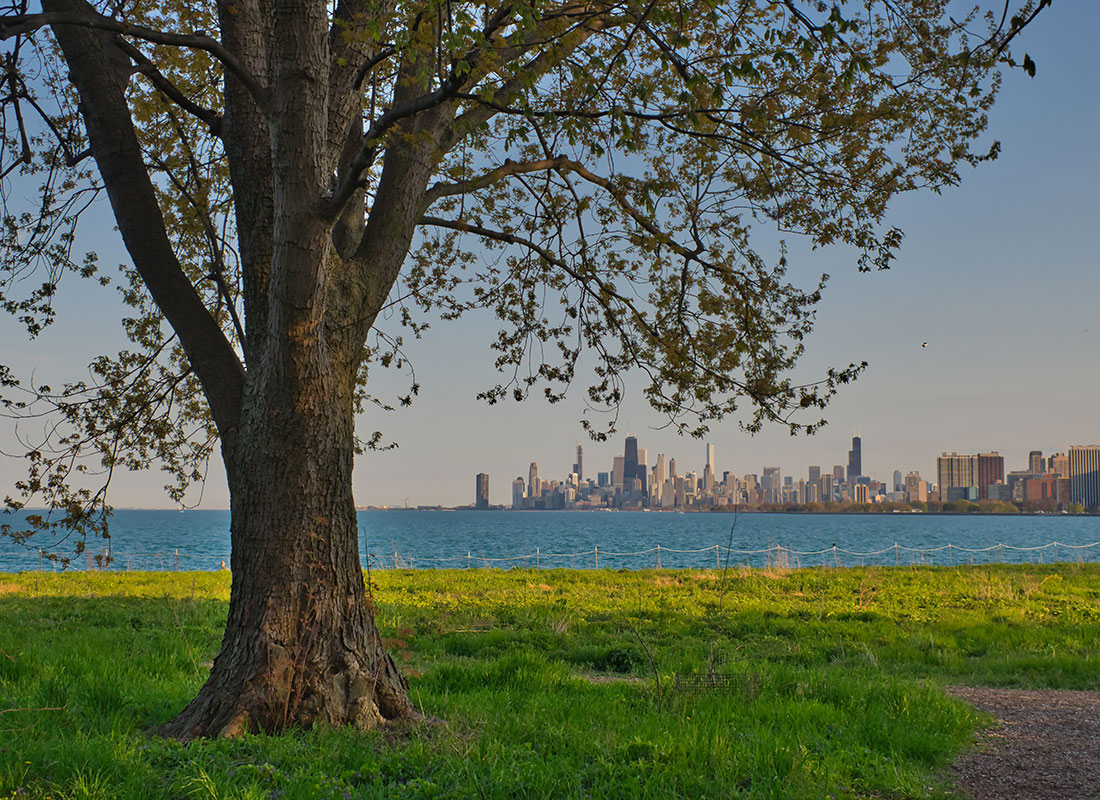 About Our Agency - Tree on the Shore of Lake Michigan, Chicago Skyline in the Distance